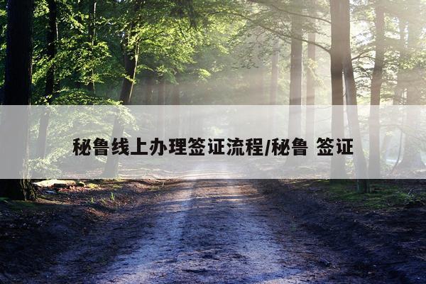 秘鲁线上办理签证流程/秘鲁 签证