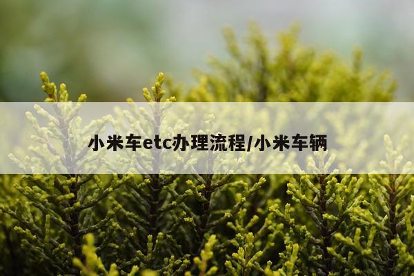 小米车etc办理流程/小米车辆