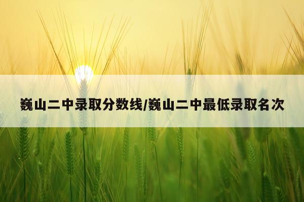 巍山二中录取分数线/巍山二中最低录取名次