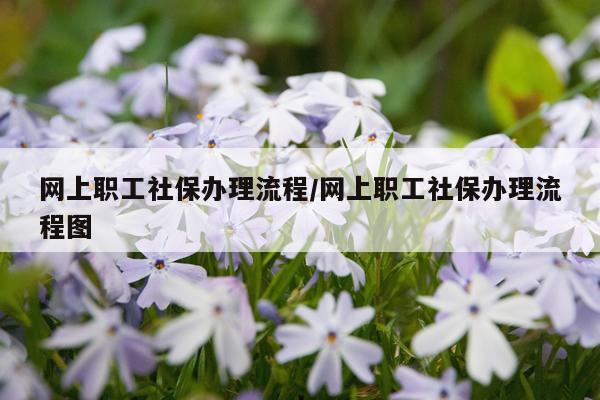 网上职工社保办理流程/网上职工社保办理流程图