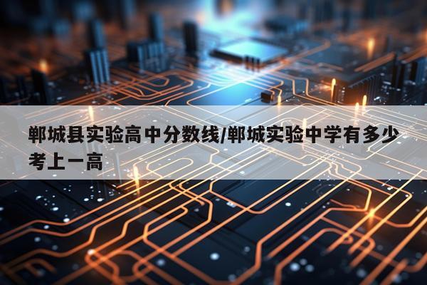 郸城县实验高中分数线/郸城实验中学有多少考上一高