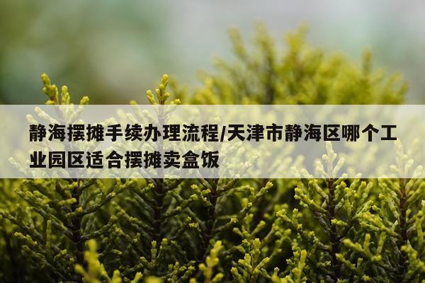 静海摆摊手续办理流程/天津市静海区哪个工业园区适合摆摊卖盒饭