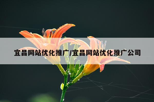 宜昌网站优化推广/宜昌网站优化推广公司