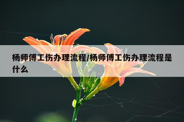 杨师傅工伤办理流程/杨师傅工伤办理流程是什么
