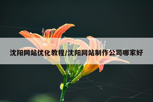 沈阳网站优化教程/沈阳网站制作公司哪家好