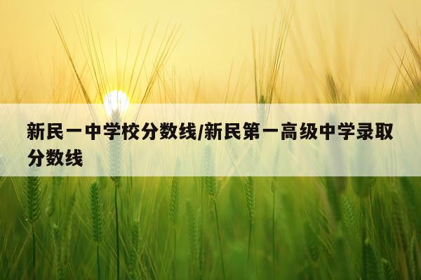 新民一中学校分数线/新民第一高级中学录取分数线