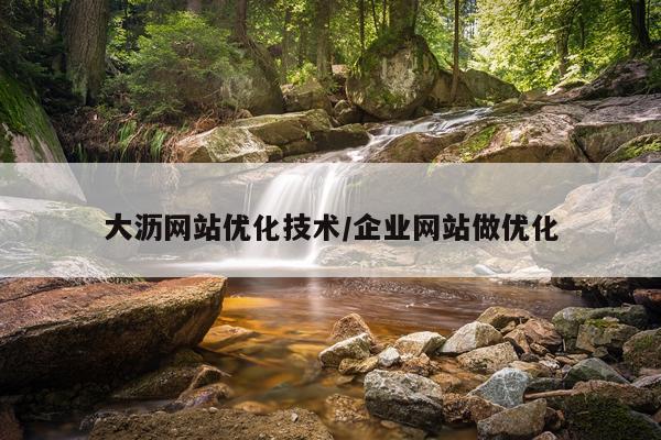 大沥网站优化技术/企业网站做优化