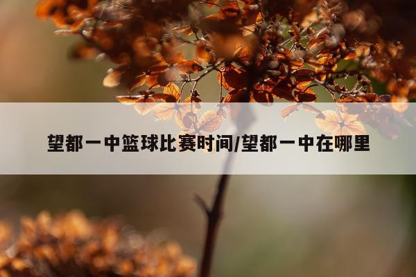 望都一中篮球比赛时间/望都一中在哪里
