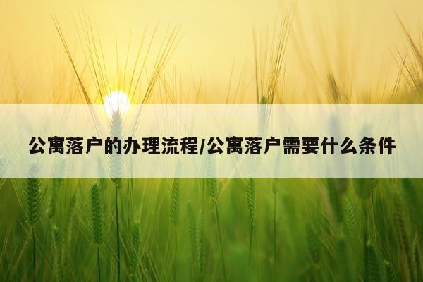 公寓落户的办理流程/公寓落户需要什么条件