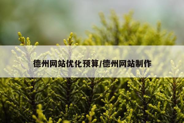 德州网站优化预算/德州网站制作