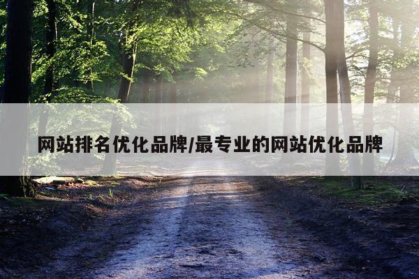 网站排名优化品牌/最专业的网站优化品牌