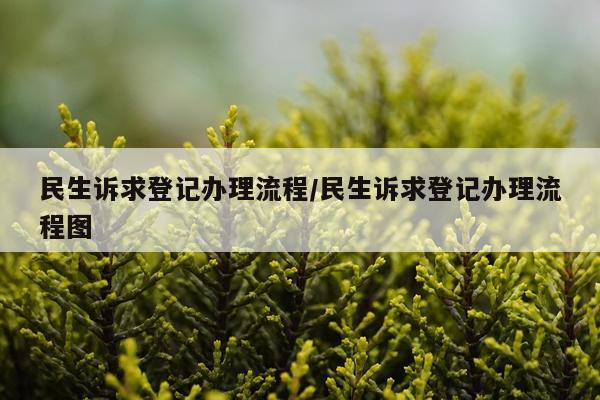民生诉求登记办理流程/民生诉求登记办理流程图