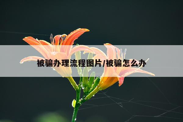 被骗办理流程图片/被骗怎么办