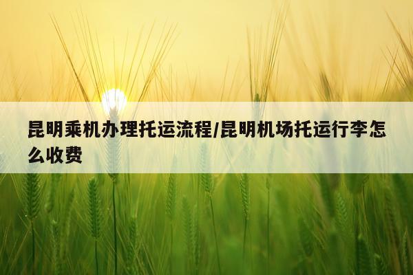 昆明乘机办理托运流程/昆明机场托运行李怎么收费
