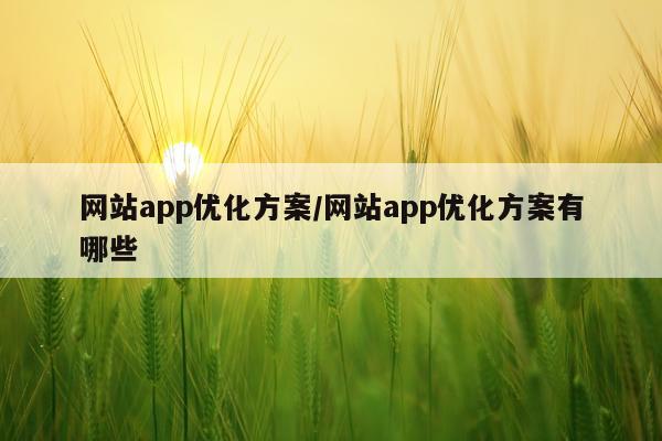 网站app优化方案/网站app优化方案有哪些