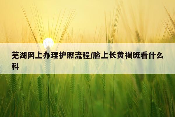 芜湖网上办理护照流程/脸上长黄褐斑看什么科