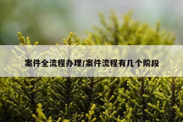 案件全流程办理/案件流程有几个阶段