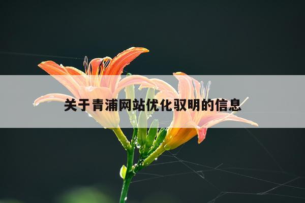 关于青浦网站优化驭明的信息