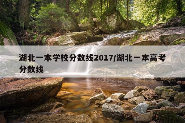 湖北一本学校分数线2017/湖北一本高考分数线