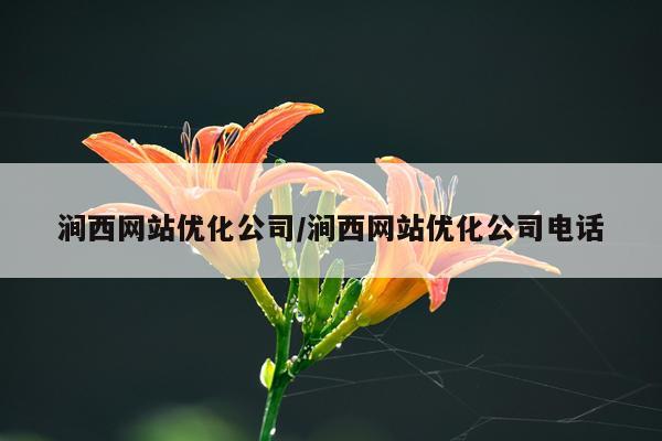 涧西网站优化公司/涧西网站优化公司电话