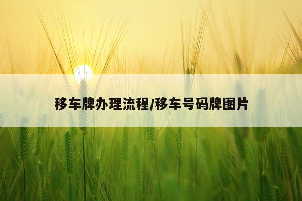 移车牌办理流程/移车号码牌图片