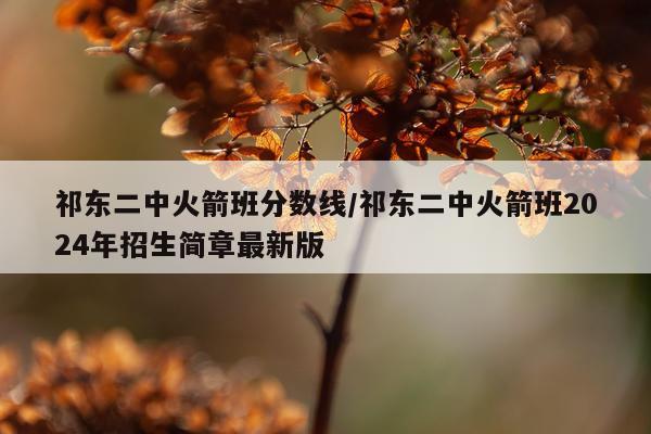 祁东二中火箭班分数线/祁东二中火箭班2024年招生简章最新版