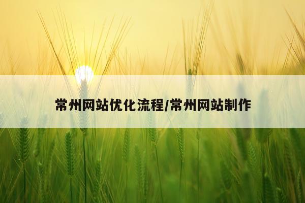 常州网站优化流程/常州网站制作
