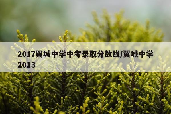 2017翼城中学中考录取分数线/翼城中学2013