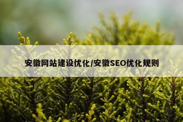 安徽网站建设优化/安徽SEO优化规则