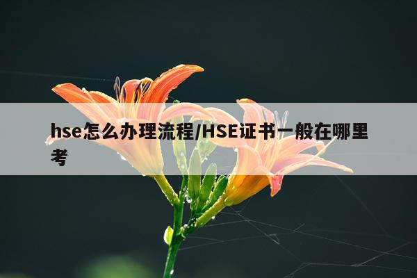 hse怎么办理流程/HSE证书一般在哪里考