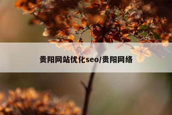 贵阳网站优化seo/贵阳网络