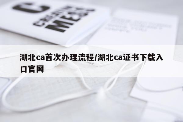 湖北ca首次办理流程/湖北ca证书下载入口官网