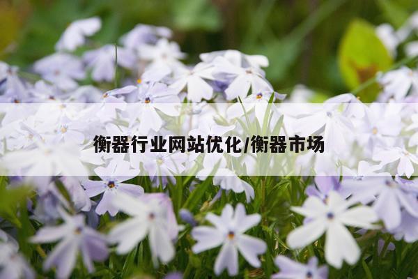 衡器行业网站优化/衡器市场