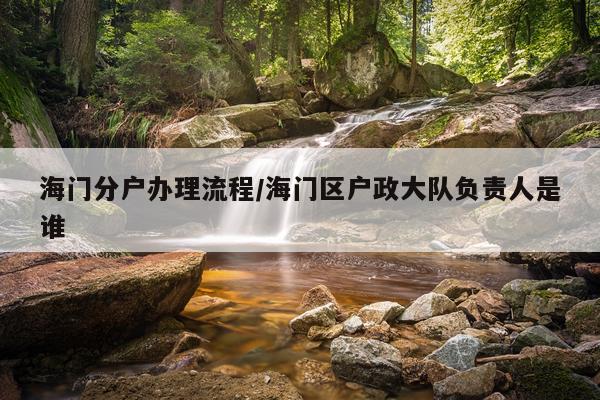 海门分户办理流程/海门区户政大队负责人是谁