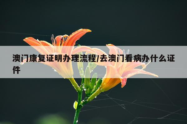澳门康复证明办理流程/去澳门看病办什么证件