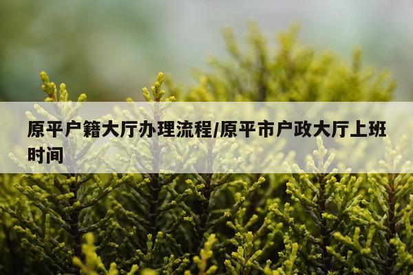 原平户籍大厅办理流程/原平市户政大厅上班时间