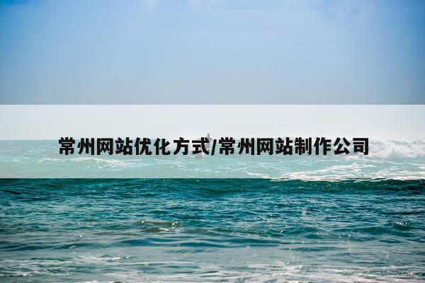 常州网站优化方式/常州网站制作公司