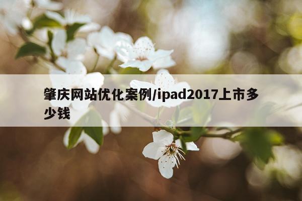 肇庆网站优化案例/ipad2017上市多少钱