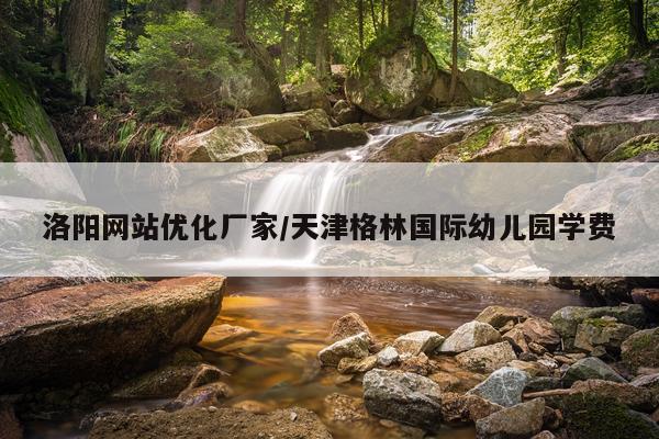 洛阳网站优化厂家/天津格林国际幼儿园学费