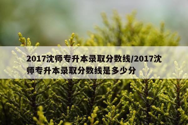 2017沈师专升本录取分数线/2017沈师专升本录取分数线是多少分