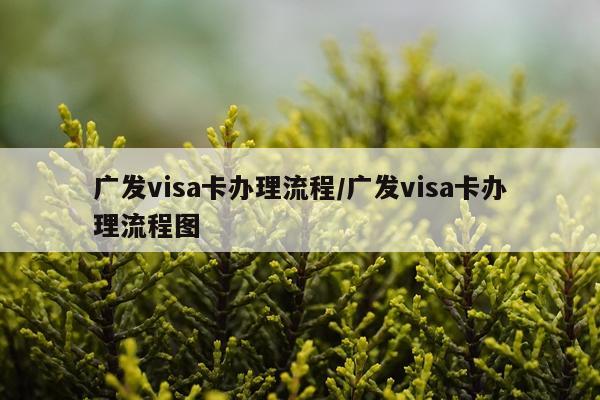 广发visa卡办理流程/广发visa卡办理流程图