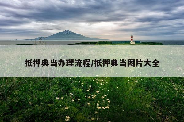 抵押典当办理流程/抵押典当图片大全