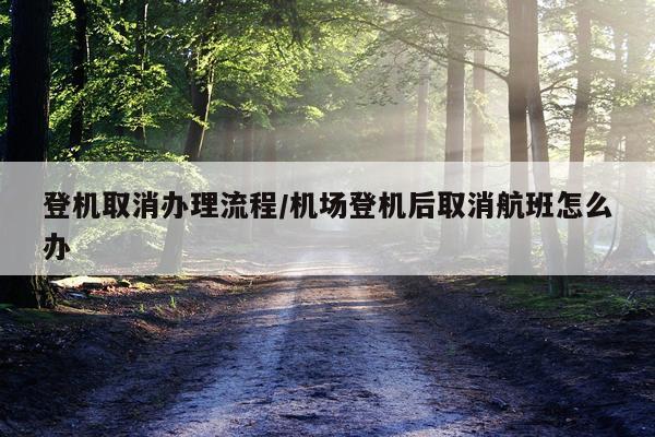 登机取消办理流程/机场登机后取消航班怎么办