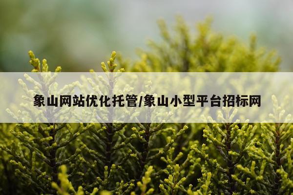 象山网站优化托管/象山小型平台招标网