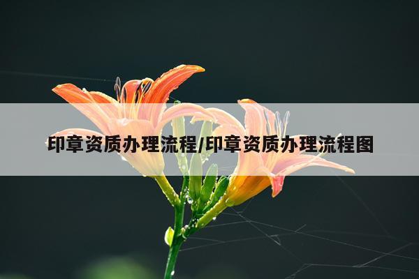印章资质办理流程/印章资质办理流程图