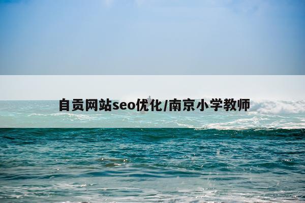 自贡网站seo优化/南京小学教师