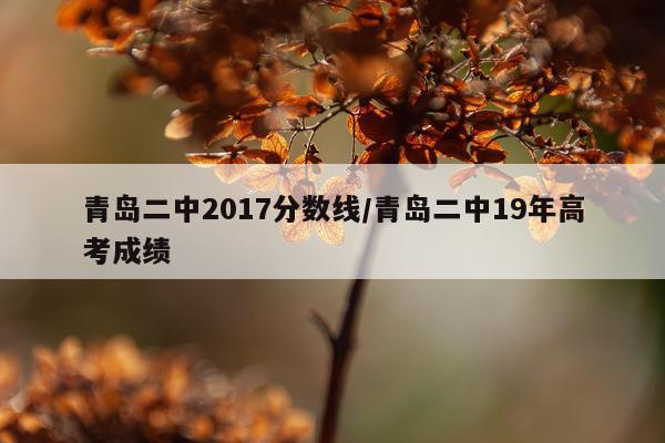 青岛二中2017分数线/青岛二中19年高考成绩