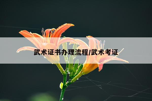 武术证书办理流程/武术考证