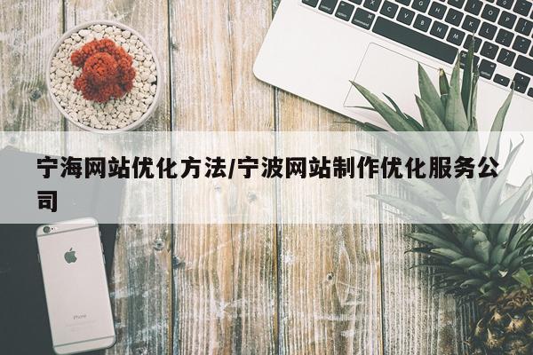 宁海网站优化方法/宁波网站制作优化服务公司