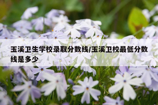 玉溪卫生学校录取分数线/玉溪卫校最低分数线是多少